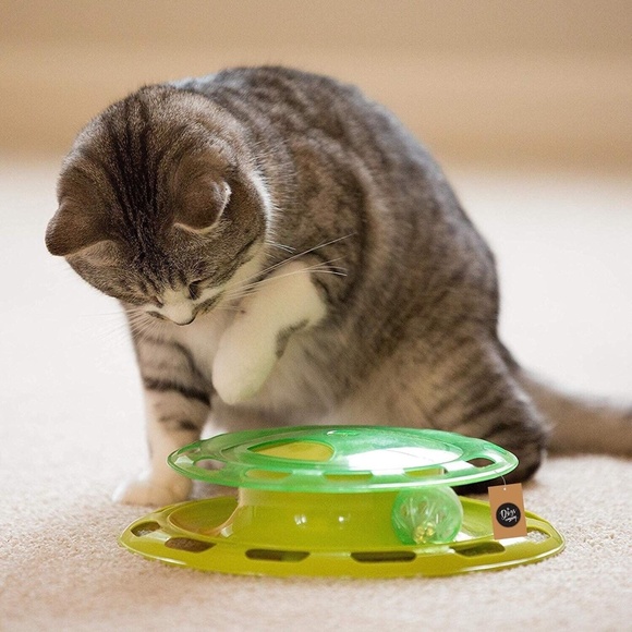 Turntable Toy For Cats- Green, Great For Playtime, Non Skid Base, Jingle Ball - Picture 5 of 5